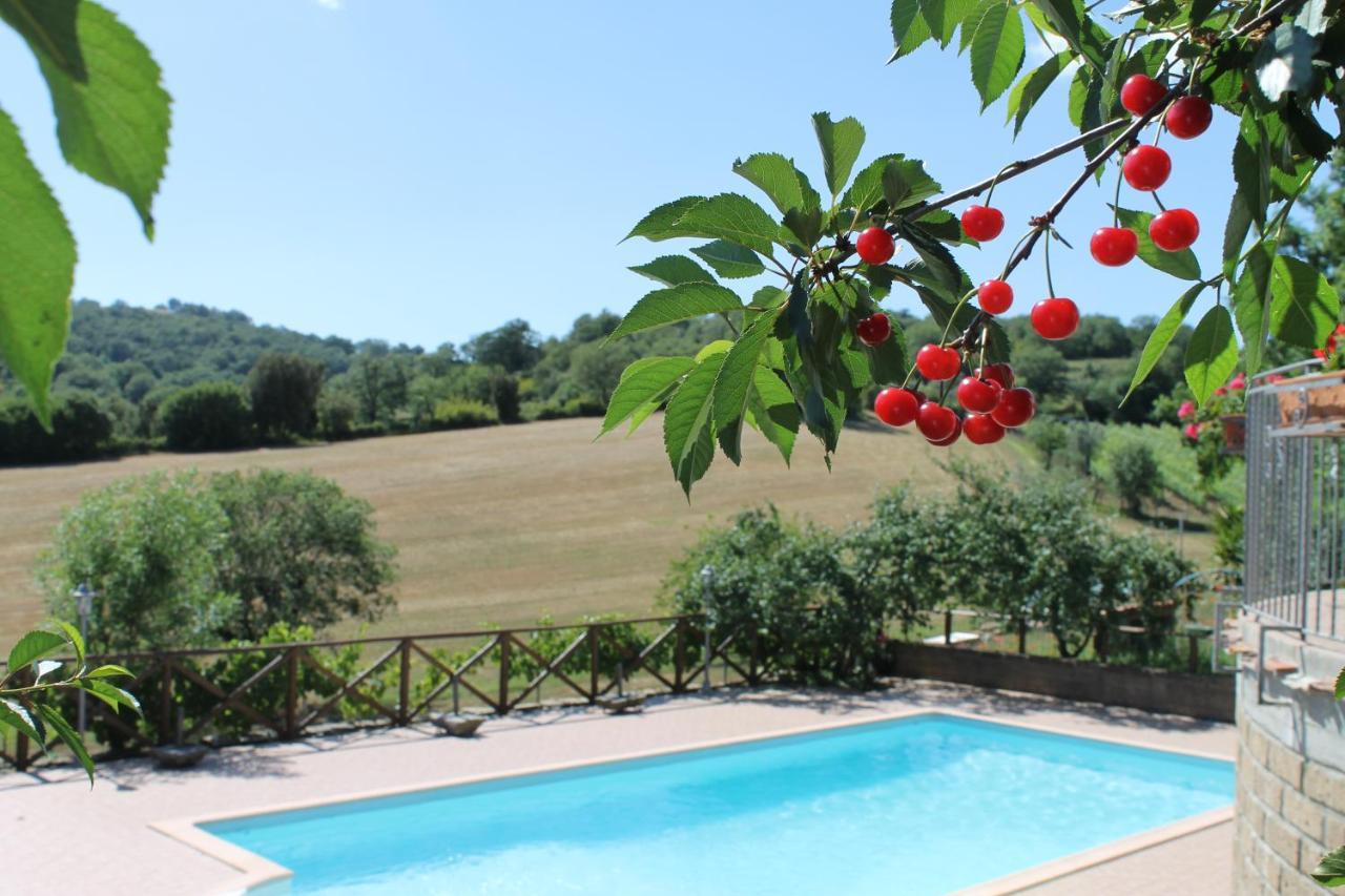 Villa Macchiapiana à Scansano Extérieur photo